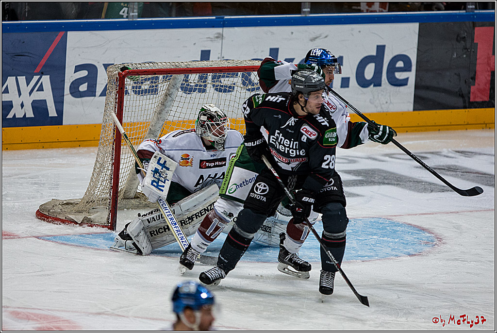 DEL, Koelner Haie - Augsburger Panther, 13.01.2017